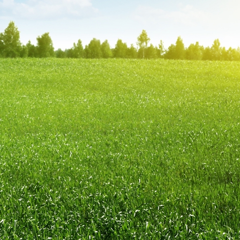 img-Social_and_Environmental