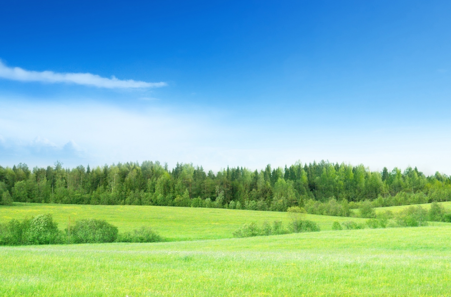 img-Starlite_Care-tab